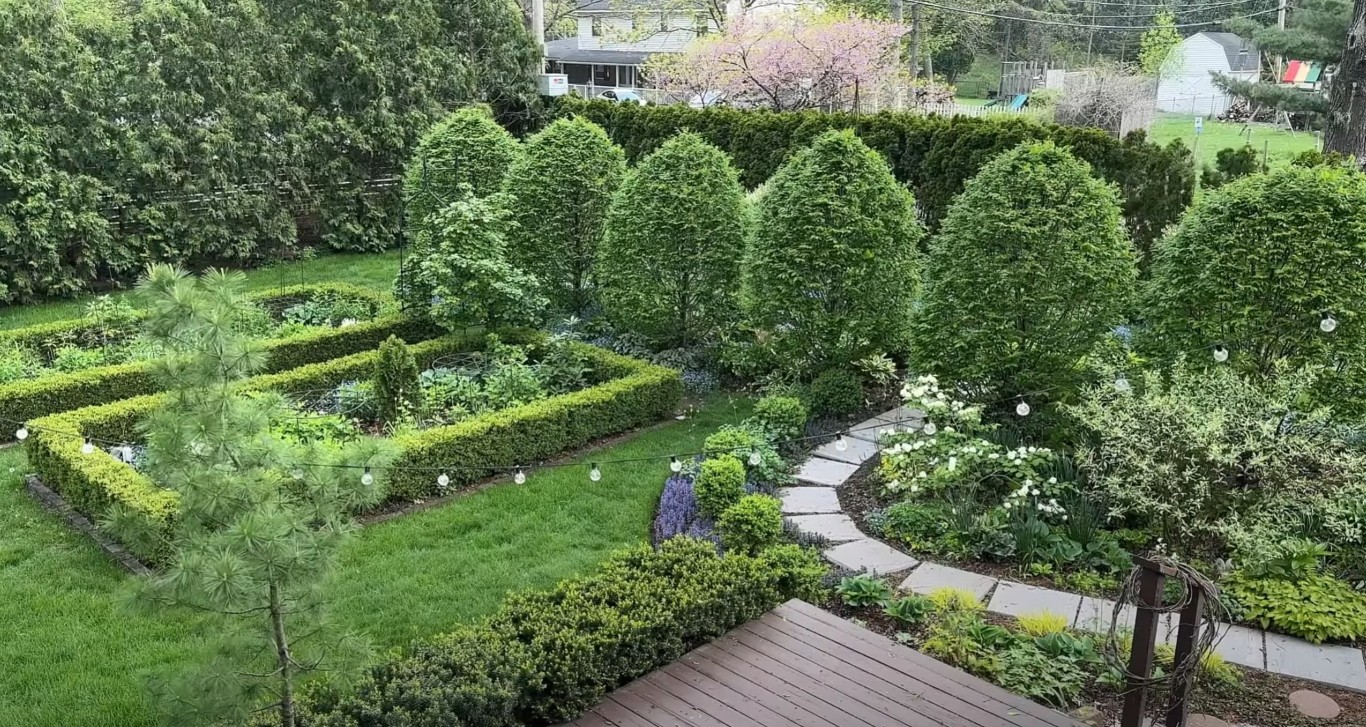 Tree & Shrub Care service in San Bruno, CA